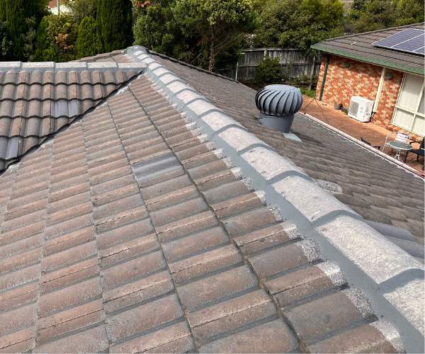 Roof Restoration Blacktown Roof Cleaning